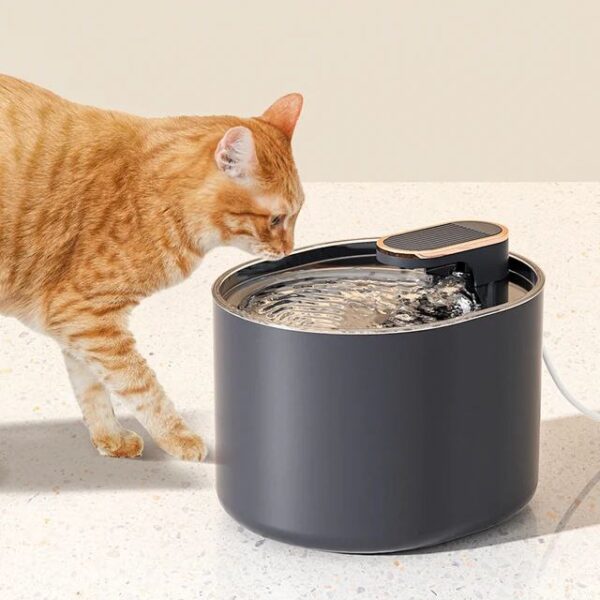 Automatic Water Dispenser