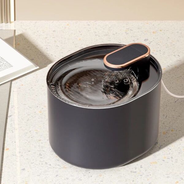 Automatic Water Dispenser