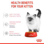 Royal Canin - Wet Kitten Jelly Cat Food - Shaking Tails