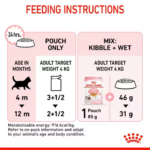 Royal Canin - Wet Kitten Jelly Cat Food - Shaking Tails