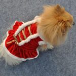 Christmas Costume for Cats & Small Dogs - Shaking Tails