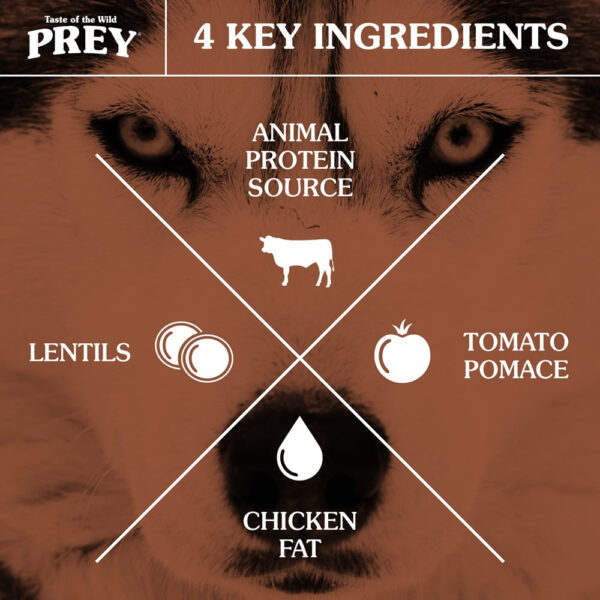 Taste Of The Wild - Angus Beef Limited Ingredient Recipe for Dogs