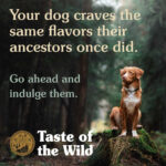 Taste Of The Wild - High Prairie Canine Recipe with Roasted Bison & Roasted Venison