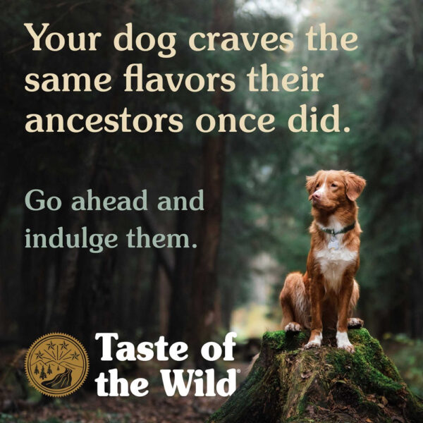 Taste Of The Wild - High Prairie Canine Recipe with Roasted Bison & Roasted Venison
