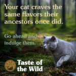 Taste Of The Wild - Lowland Creek Feline Recipe with Roasted Quail & Roasted Duck