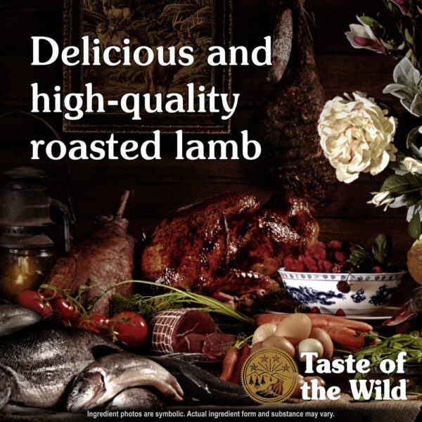 Taste Of The Wild - Sierra Mountain Canine Recipe with Roasted Lamb