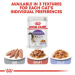 Royal Canin - Wet Sterilised Jelly Cat Wet Food - Shaking Tails