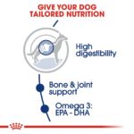 Royal Canin Maxi Adult Dog Dry Food - Shaking Tails
