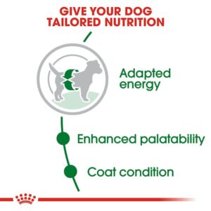Royal Canin Medium Adult Dog Dry Food - Shaking Tails