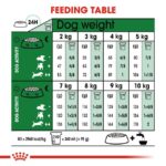 Royal Canin Mini Adult Dog Dry Food - Shaking Tails