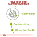 Royal Canin Adult X-Small Dog Dry Food - Shaking Tails