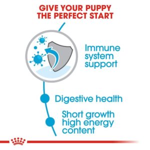 Royal Canin Medium Puppy Dog Dry Food - Shaking Tails