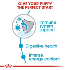 Royal Canin Mini Puppy Dog Dry Food - Shaking Tails