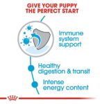 Royal Canin X-Small Puppy Dog Dry Food - Shaking Tails