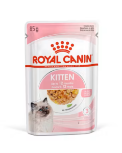 Royal Canin - Wet Kitten Jelly Cat Food - Shaking Tails