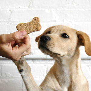 zero-waste-homemade-dog-treats-trash-is-for-tossers-cropped