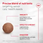 Royal Canin Adult Ageing 11+ Dry Cat Food - Image 3