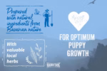 Happy Dog - NaturCroq Puppy Dog Dry Food