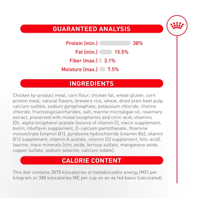 Royal Canin Adult Exigent Fussy Savour Dry Cat Food