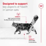 Royal Canin Adult Ageing 11+ Dry Cat Food - Image 2