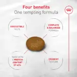 Royal Canin Adult Exigent Fussy Savour Dry Cat Food