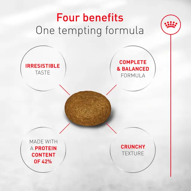 Royal Canin Adult Exigent Fussy Savour Dry Cat Food