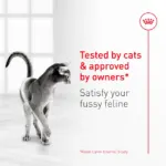 Royal Canin Adult Exigent Fussy Savour Dry Cat Food