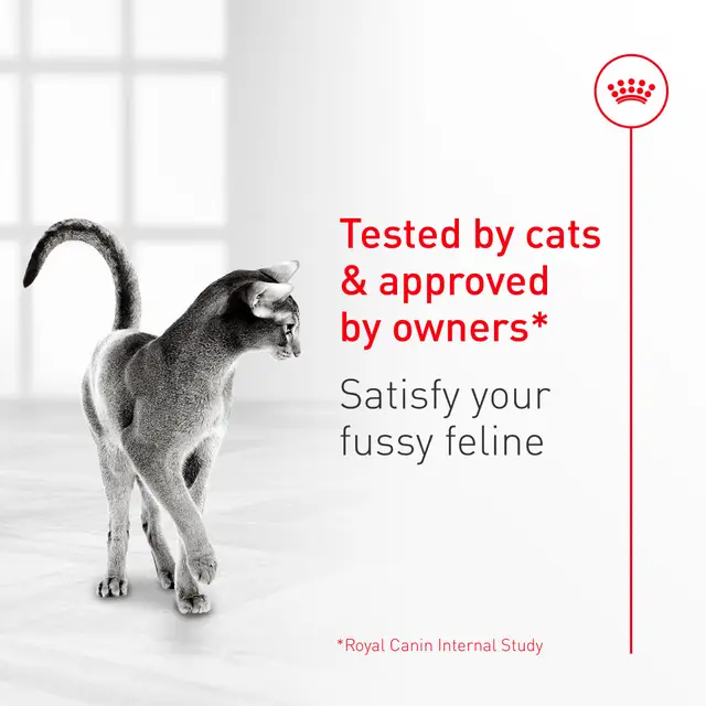 Royal Canin Adult Exigent Fussy Savour Dry Cat Food