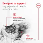 Royal Canin Adult Ageing 11+ Dry Cat Food - Image 4