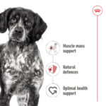 Royal Canin Medium Adult Can Dog Wet Food - Image 3
