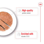Royal Canin Medium Adult Wet Food Can