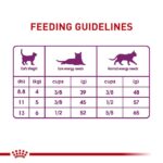 Royal Canin Adult Sensible Cat Dry Food - Image 2