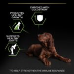 Purina Pro Plan - Large Athletic Puppy Healthy Start Dog Dry Food - Chicken
