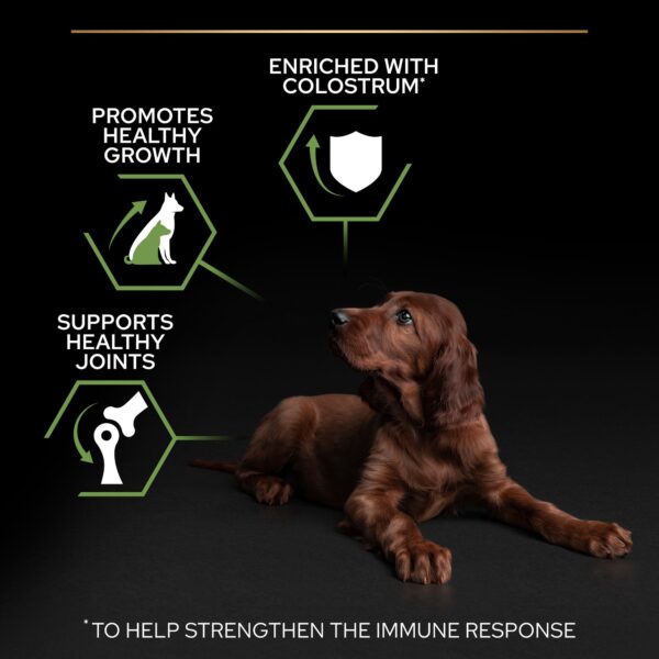 Purina Pro Plan - Large Athletic Puppy Healthy Start Dog Dry Food - Chicken