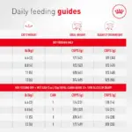 Royal Canin Adult Ageing 11+ Dry Cat Food - Image 5