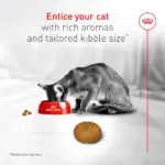 Royal Canin Adult Exigent Fussy Savour Dry Cat Food