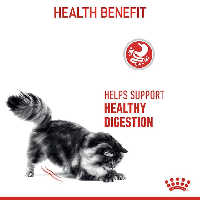 Royal Canin Adult Digestive Care Dry Cat Food