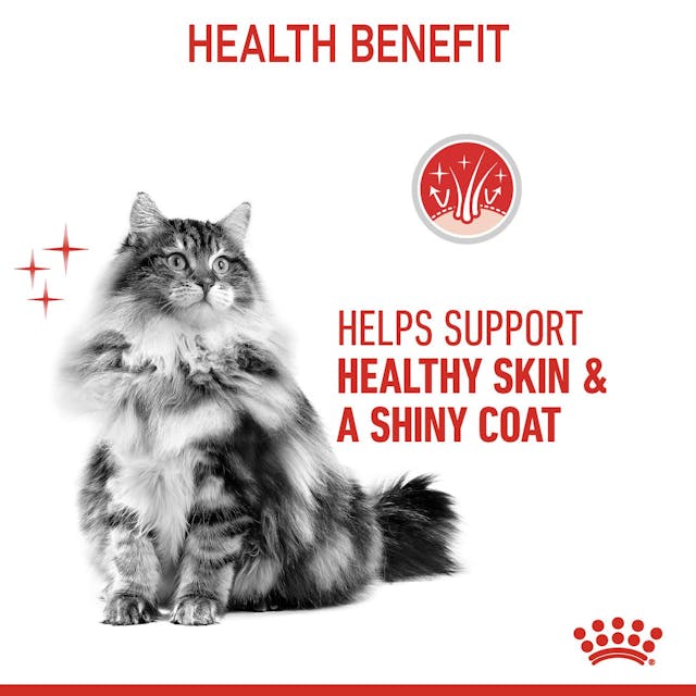 Royal Canin Adult Hair & Skin Care Cat Dry Food