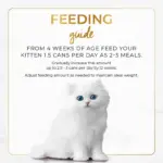 Purina FANCY FEAST Classic Pate Kitten Tender Chicken Feast Gourmet Cat Food