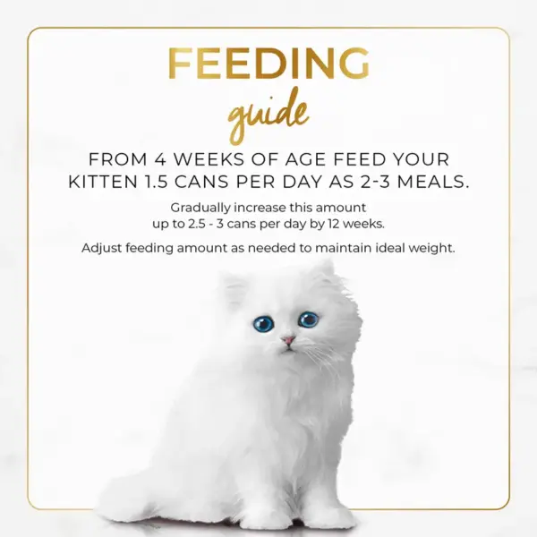 Purina FANCY FEAST Classic Pate Kitten Tender Chicken Feast Gourmet Cat Food