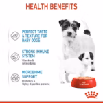 Royal Canin Starter Mother & Babydog Ultra Soft Mousse In Sauce - Image 4