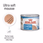 Royal Canin Starter Mother & Babydog Ultra Soft Mousse In Sauce - Image 2