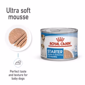 sol-hero-image-wet-starter-mousse-can-b1-mv1